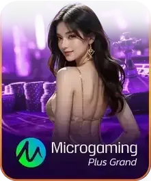 micro